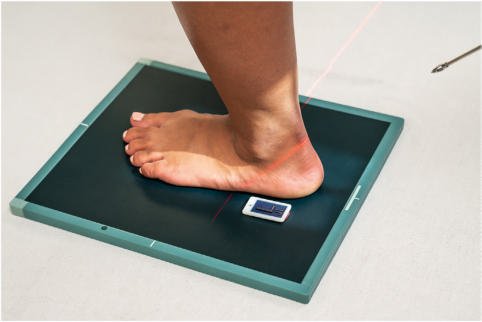 Fig. 6.78 Dorsoplantar (axial) weight-