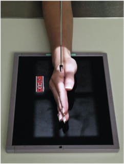 Fig. 4.79 lateral în flexion.