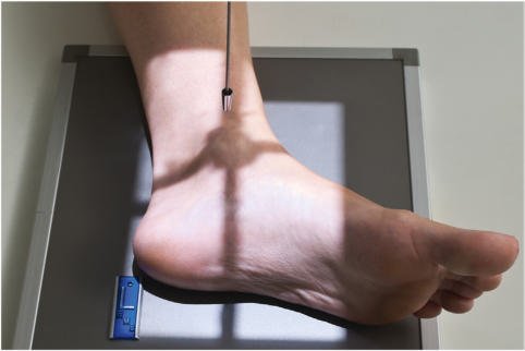 Fig. 6.90 Mediolateral Gleznă (Articulație Talocrurală).