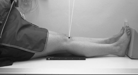 Profil (lateral). fiecare imagine este normally acquired using a 18  24-cm