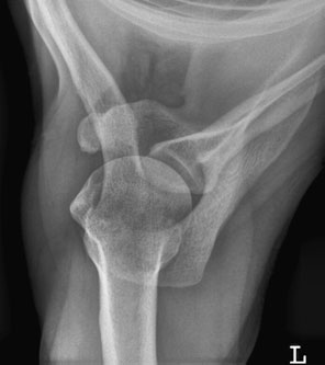 Figura 4: Aspect radiografic / Poziționare (Clark Ed. 12)