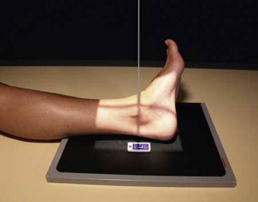 Merrill — pagina 530, imaginea 1