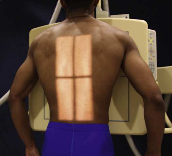 Merrill — pagina 768, imaginea 1